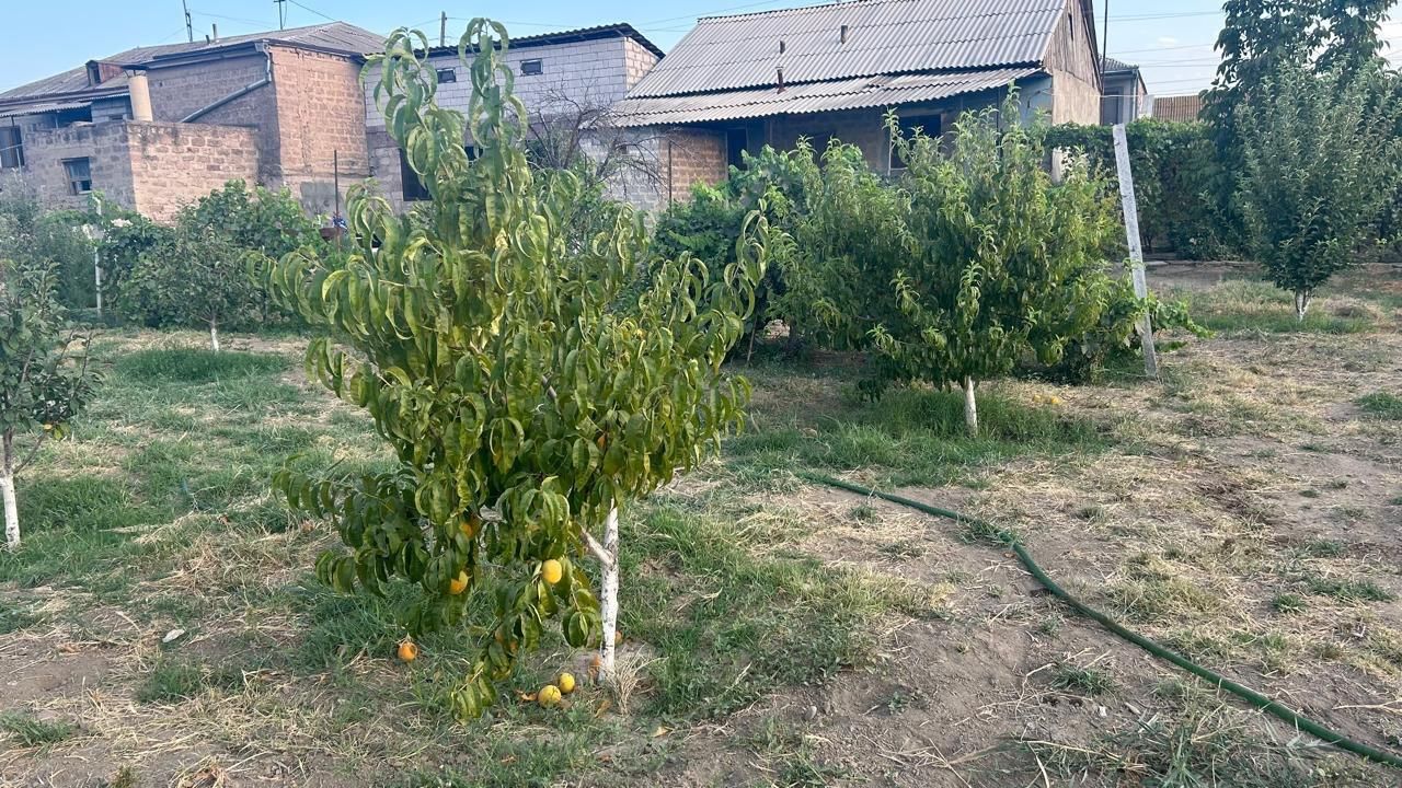 ویلا در ۱۵ کیلومتری ایروان ارمنستان|فروش خانه و ویلا|تهران, فاطمی|دیوار