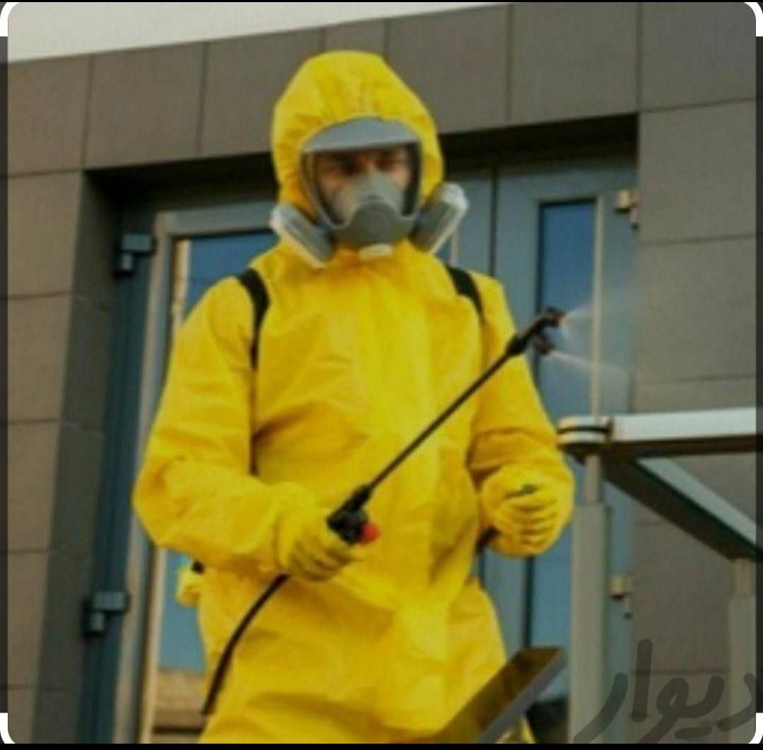 سمپاشی و موریانه زدایی به صورت اصولی و حرفه ای|خدمات نظافت|دزفول, |دیوار