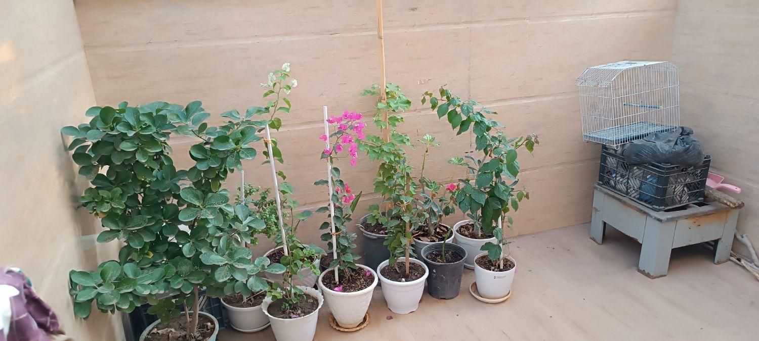 ویلایی  دوطبقه ۲۰۰ متر بنا شیک ۴راه فرید خراسانی|فروش خانه و ویلا|سبزوار, هویزه|دیوار