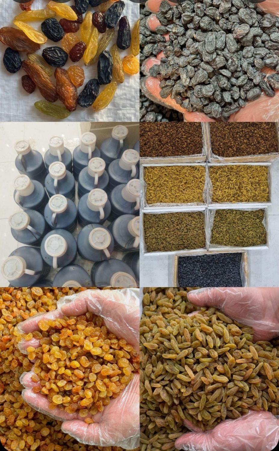 مویز،کشمش،شیره انگور (عمده خرده)|خوردنی و آشامیدنی|بوشهر, |دیوار