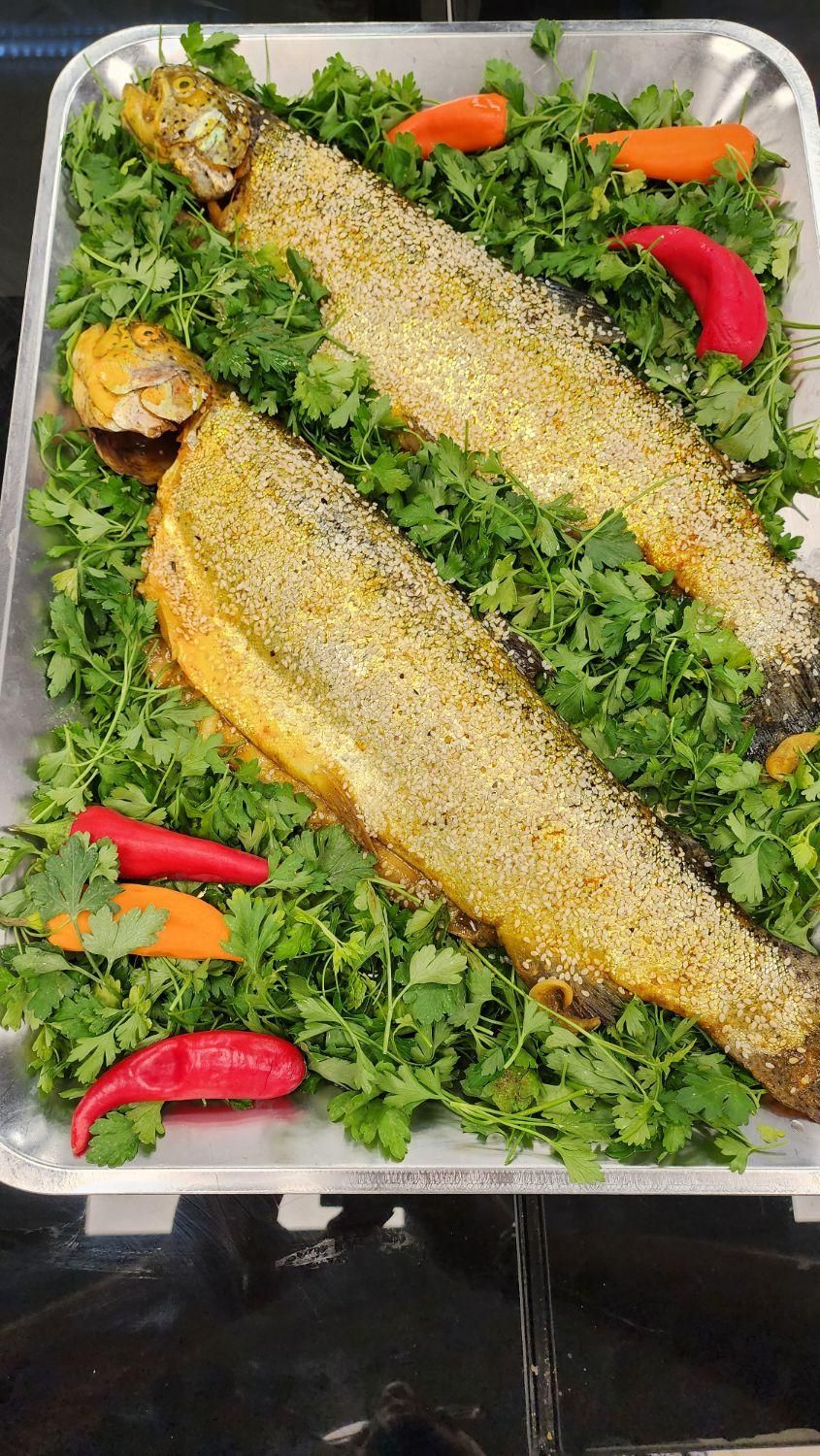 انواع ماهی قزل سالمون تازه شکم پر طعم دار شده آوات|خوردنی و آشامیدنی|اصفهان, گلزار|دیوار