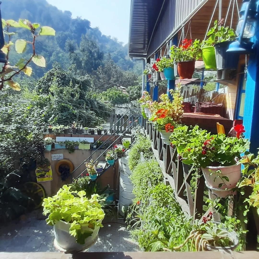 سوییت کلبه جنگلی سنتی|اجارهٔ کوتاه‌مدت ویلا و باغ|علی‌آباد کتول, |دیوار