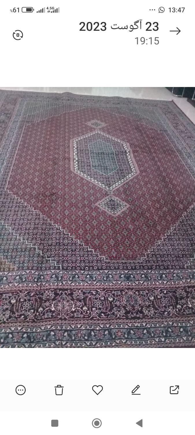 یک عدد فرش 12متری ریز ماهی کردستان|فرش|کرمانشاه, |دیوار