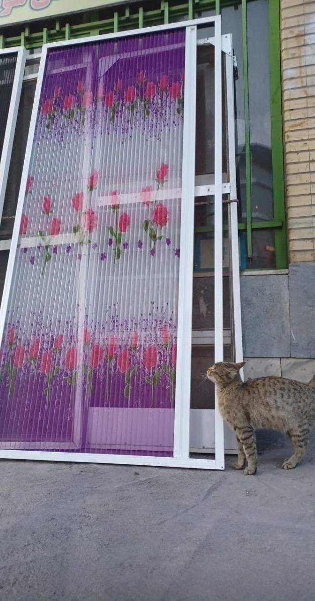 توری ریلی ثابت پلیسه ای اختصاصی و ...|خدمات پیشه و مهارت|فولادشهر, فولادشهر|دیوار