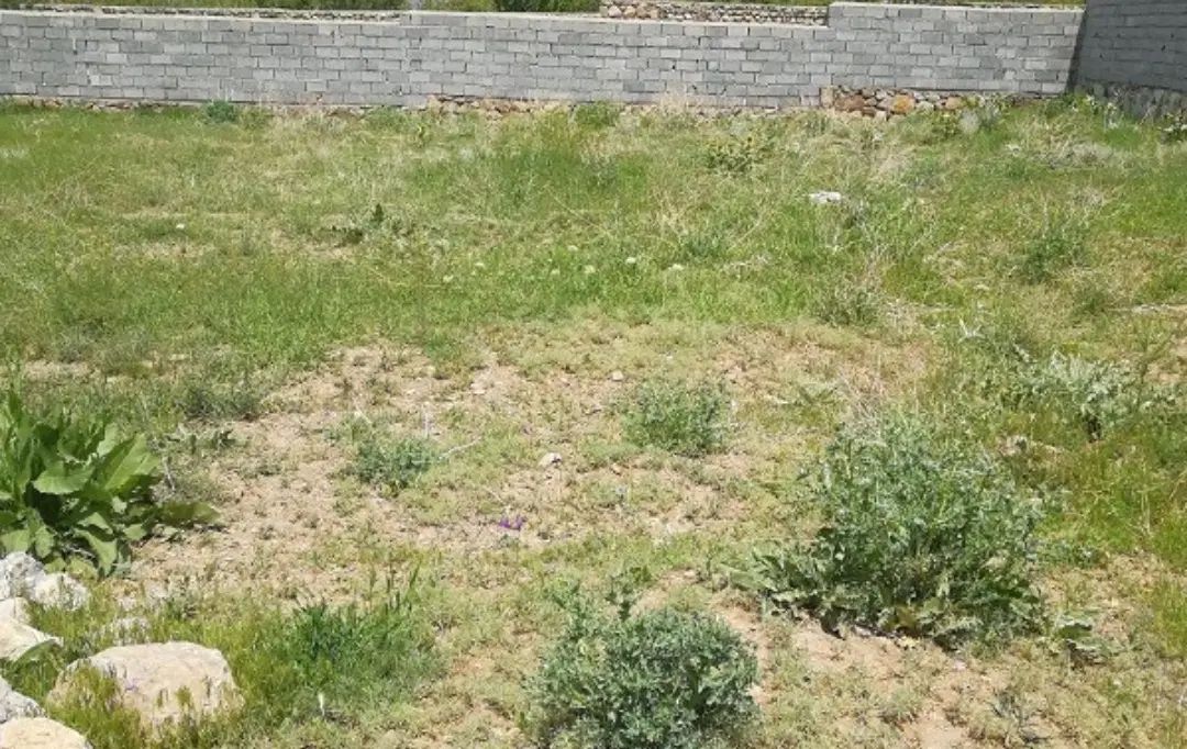 فروش زمین صنعتی در منطقه ۲۱|فروش زمین و ملک کلنگی|تهران, شهرک غزالی|دیوار