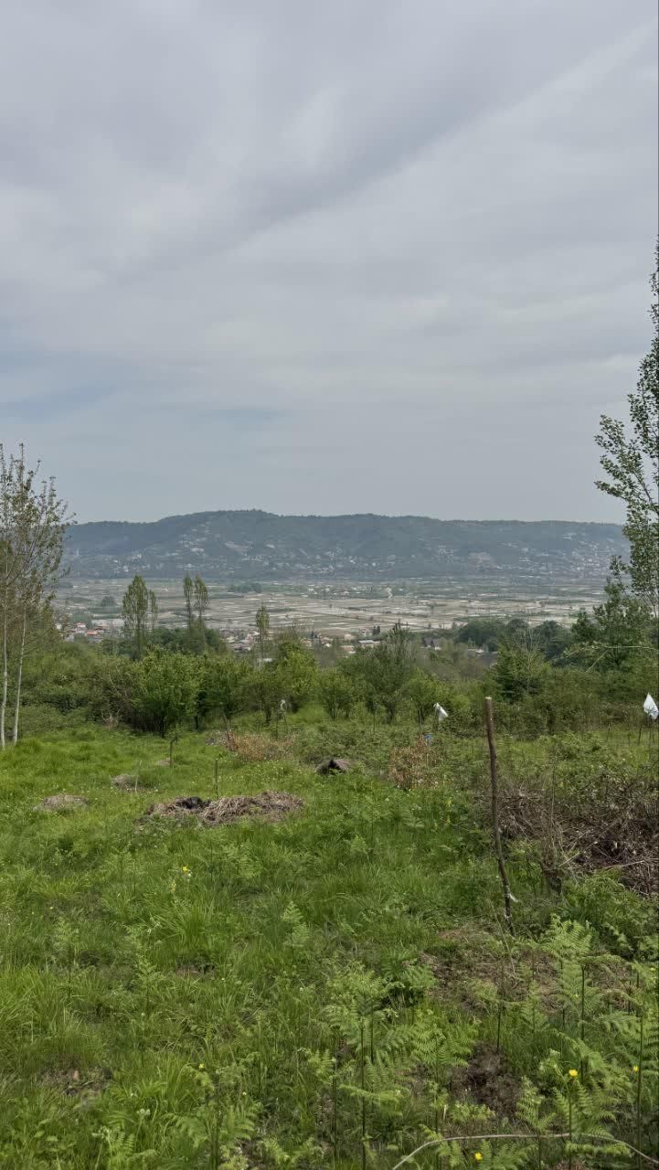 ۲۰۰۰ متر زمین باغ میوه ویودار در بابلکنار|فروش دفتر صنعتی، کشاورزی، تجاری|بابل, |دیوار