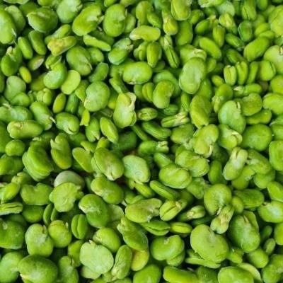 عمده وخورده باقالی سبز نخود فرنگی ذرت مخلوط|خوردنی و آشامیدنی|تهران, اختیاریه|دیوار