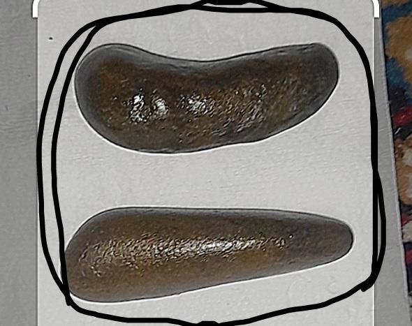سنگ مهره کارشناسی شده اصل|کلکسیون اشیاء عتیقه|آبادان, |دیوار