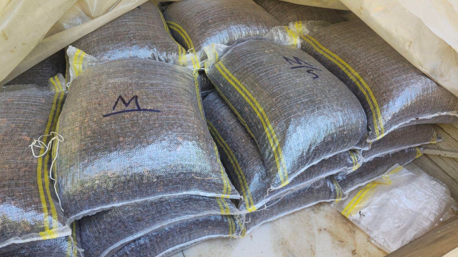 مویز کشمش بش خلار(شیرازی)|خوردنی و آشامیدنی|شیراز, قصرالدشت|دیوار