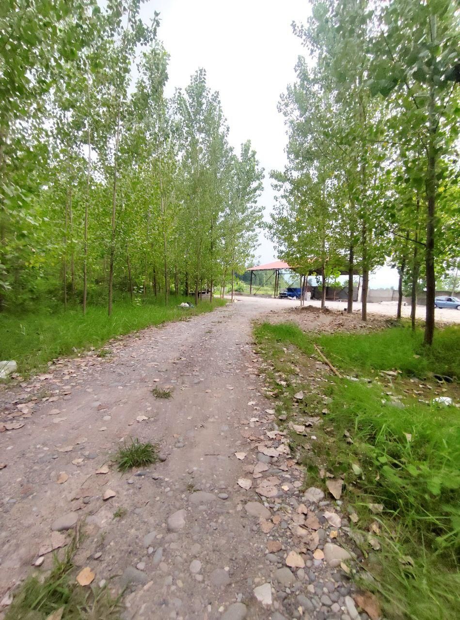 اجاره کارگاه بلوک زنی در سراوان|اجارهٔ دفتر صنعتی، کشاورزی، تجاری|رشت, ترمینال|دیوار