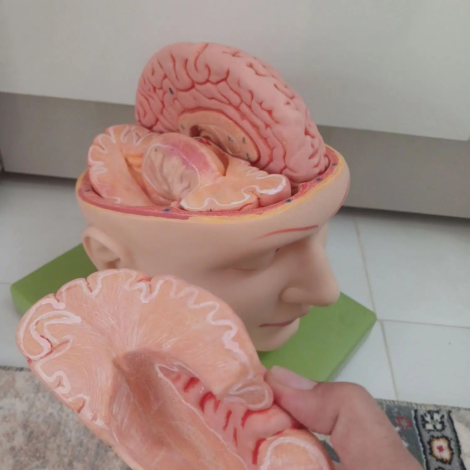 مولاژآموزشی چهارتیکه مغز|کتاب و مجله آموزشی|مشهد, پورسینا|دیوار