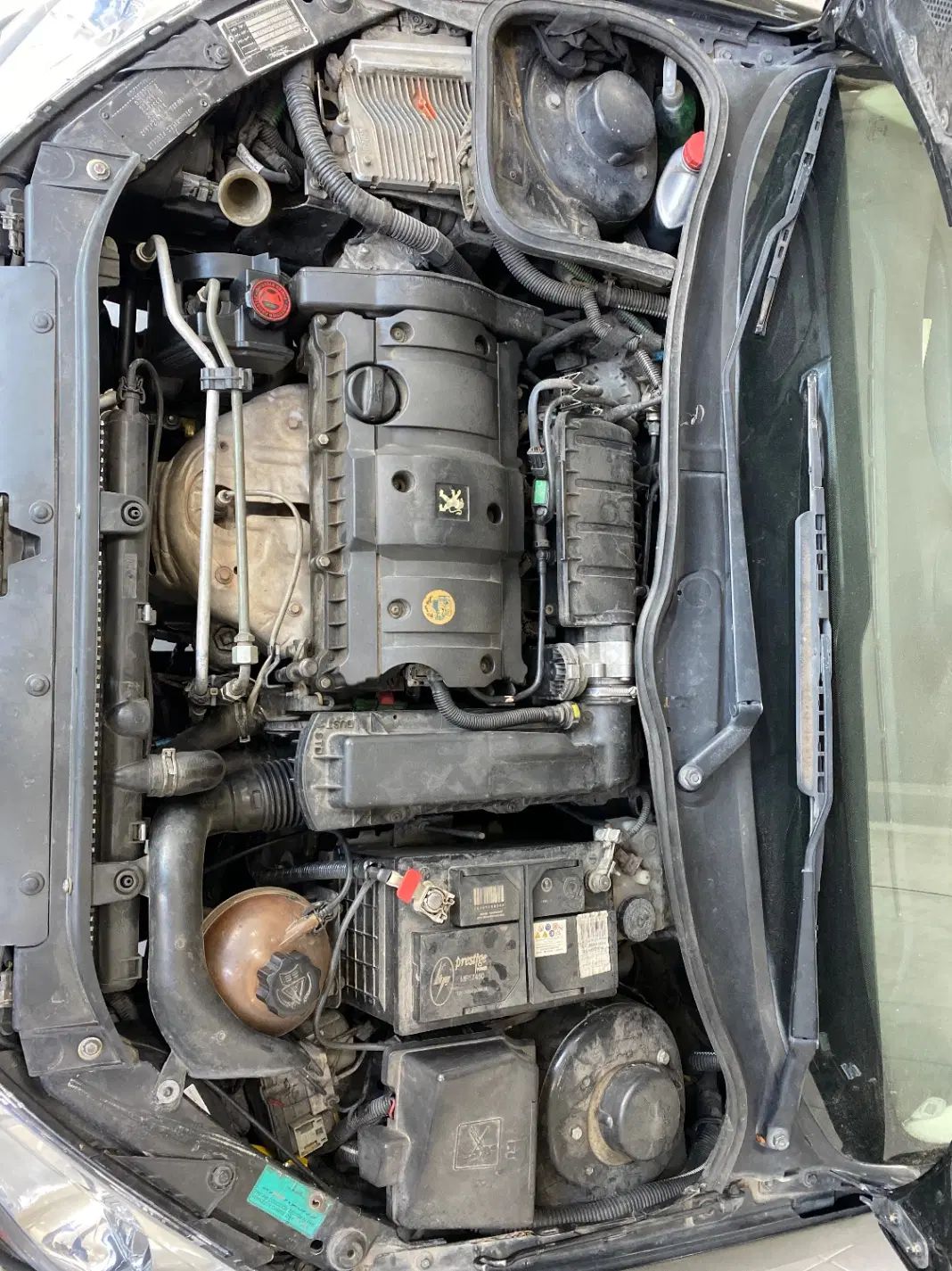 206 sd v10 دوگانه کارخانه|خودرو سواری و وانت|تبریز, |دیوار