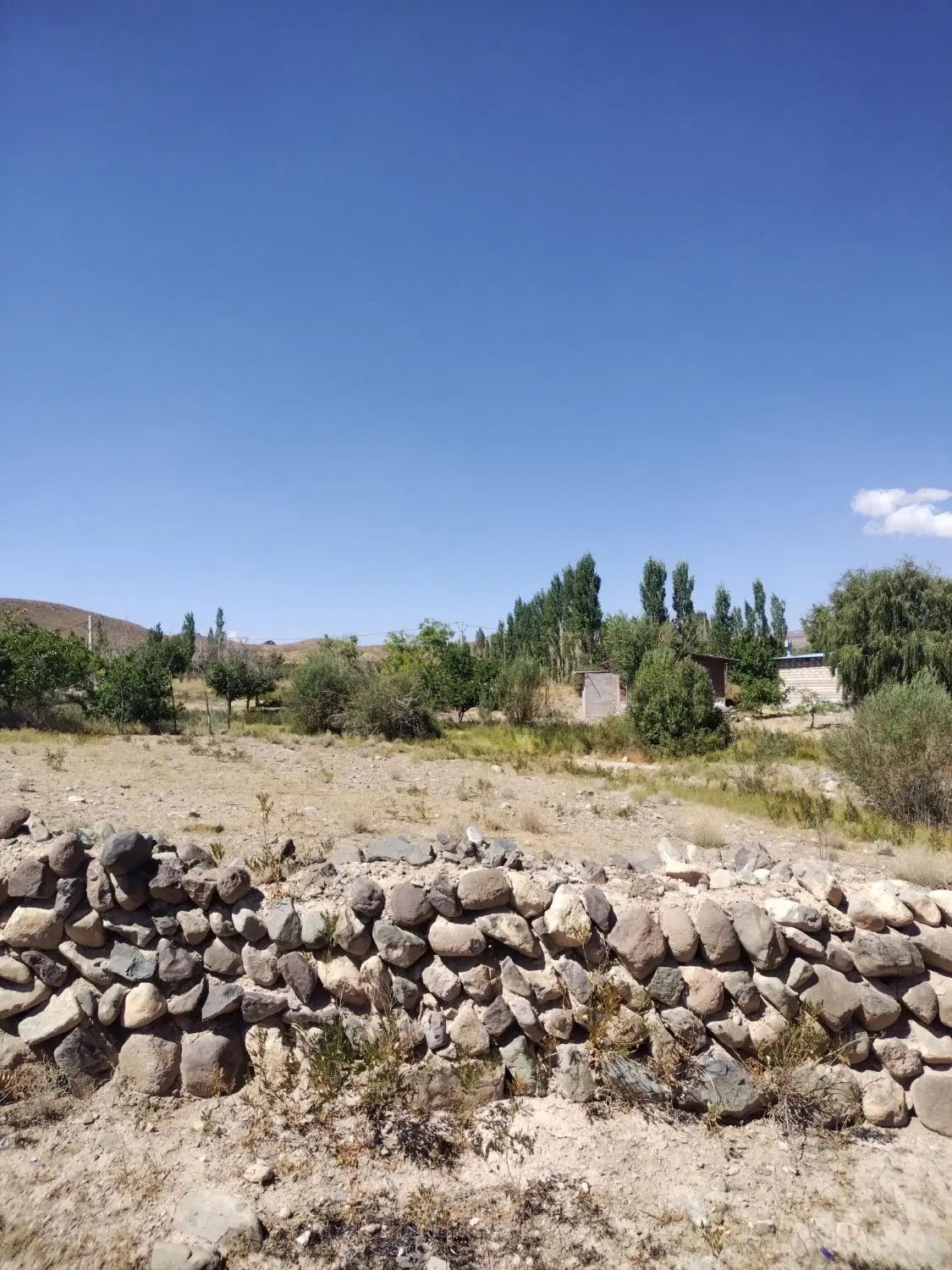 فروش ومعاوضه زمین وباغ درروستای قلعه عسکر|فروش زمین و ملک کلنگی|بافت, |دیوار