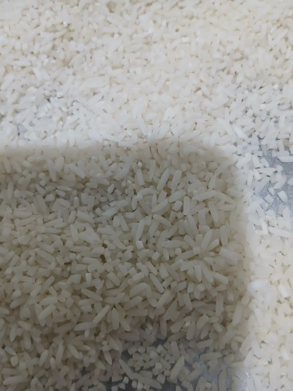 سلام برنج گیلان به شرط پخت من خودم کشاورزی دارم|خوردنی و آشامیدنی|قدس, شهر‌قدس|دیوار