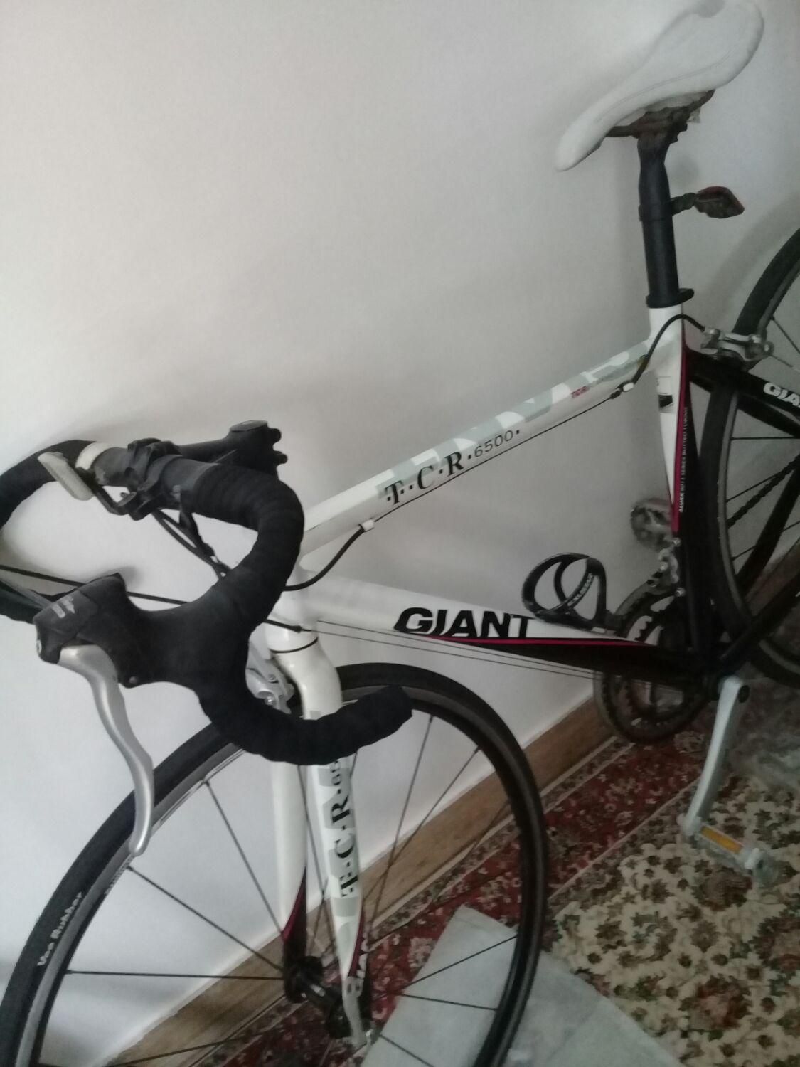 دوچرخه کورسی جاینت|دوچرخه، اسکیت، اسکوتر|رشت, گلسار|دیوار