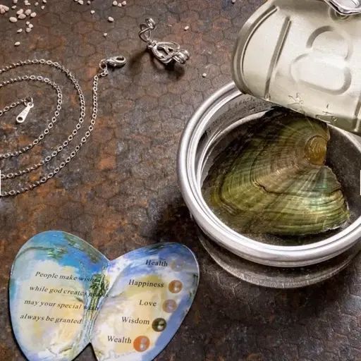 گردنبند مروارید عشق با صدف بزرگ طبیعی اصل با زنجیر|جواهرات|تهران, اکباتان|دیوار