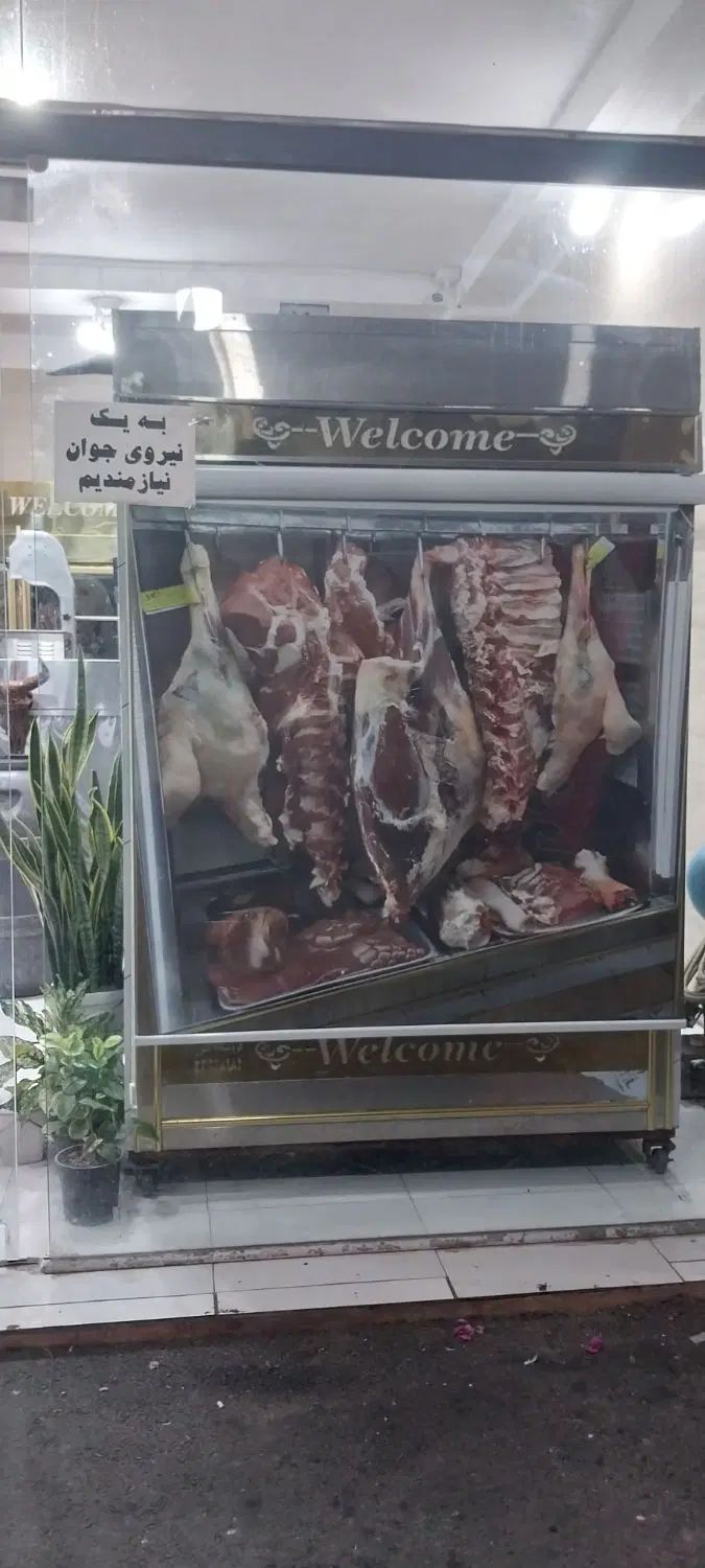 نیازبه نیروی جوان جهت خرد کردن مرغ و ماهی|استخدام خدمات فروشگاه و رستوران|رشت, کوی فکوری|دیوار