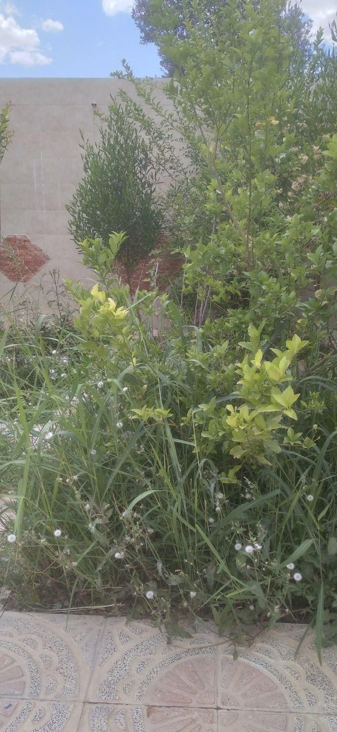 زمین جهت ساخت وساز پروژه های مشارکتی در بلوار دریا|مشارکت در ساخت املاک|دوگنبدان, |دیوار