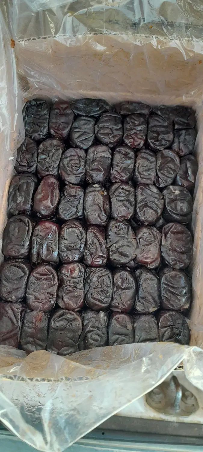 خرمای مضافتی درجه 1 امسال|خوردنی و آشامیدنی|مشهد, شهرک صنعتی مشهد|دیوار