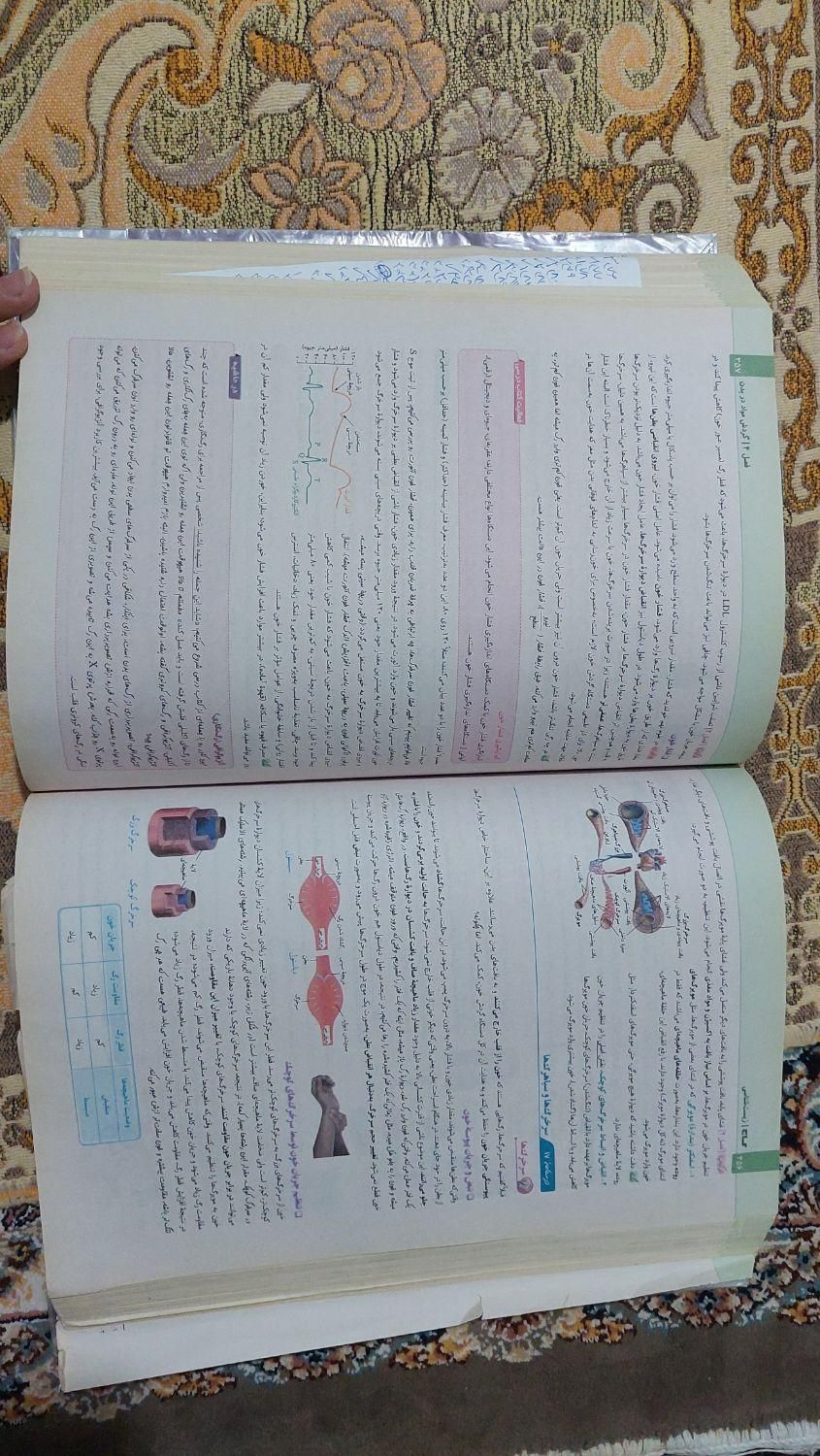 کتاب زیست شناسی میکرو نقره ای دهم|کتاب و مجله آموزشی|اسلام‌شهر, |دیوار