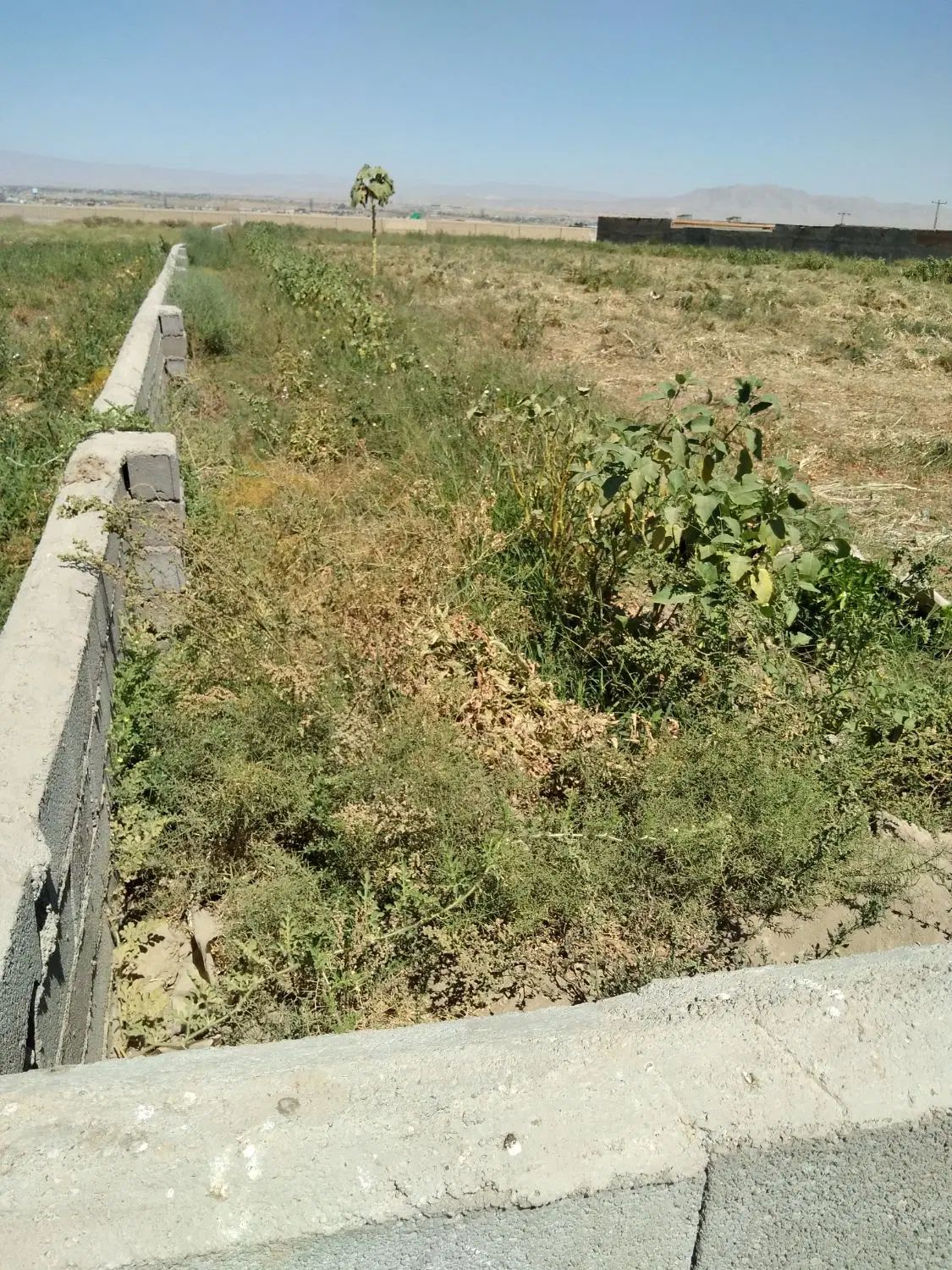 زمین برای شرکت و کارخانه و سوله فروش و معاوضه|فروش زمین و ملک کلنگی|مشهد, کشف|دیوار