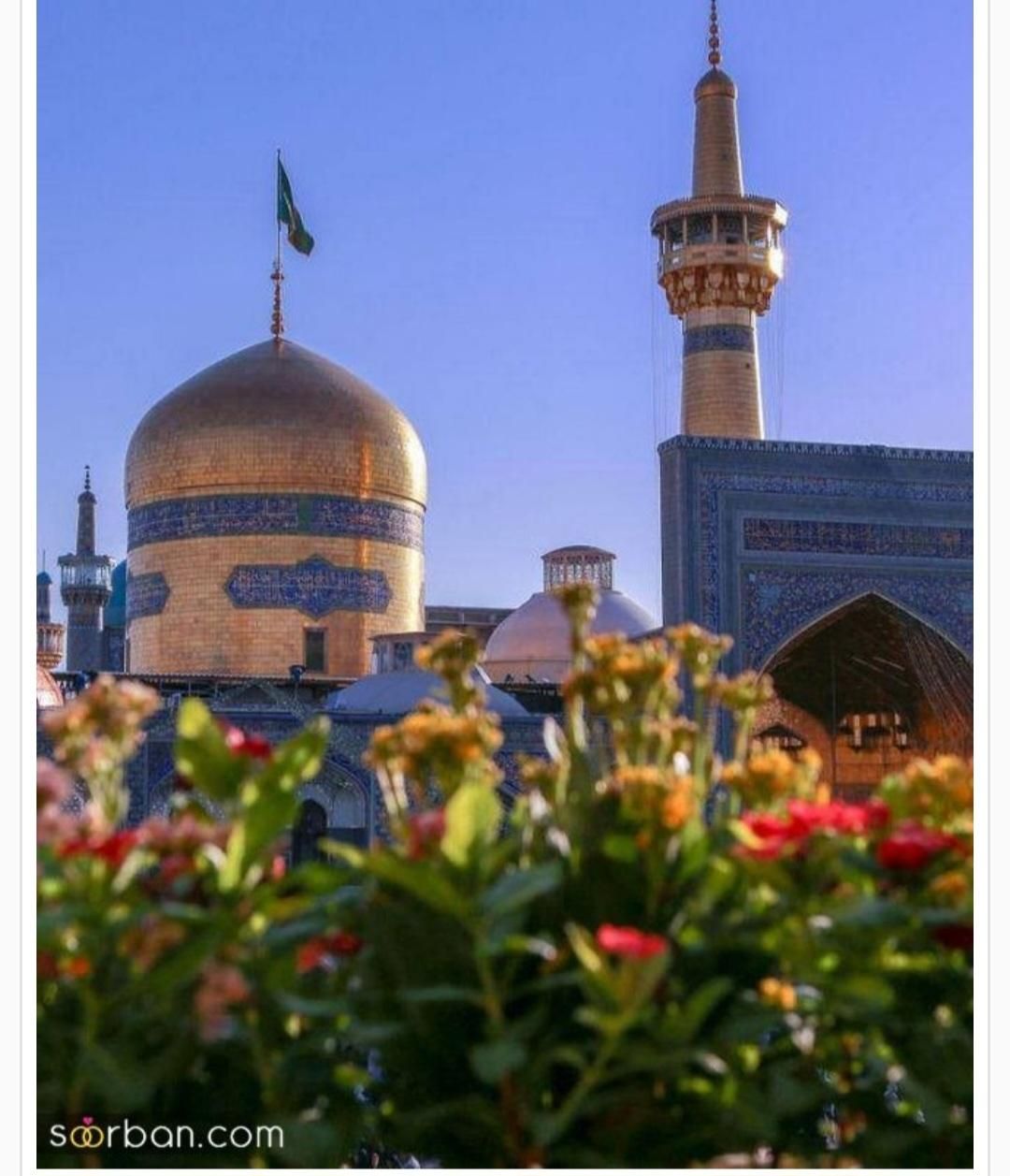 تور زیارتی مشهد مقدس حرکت ۵ شهریور|تور و چارتر|شیراز, رازی|دیوار