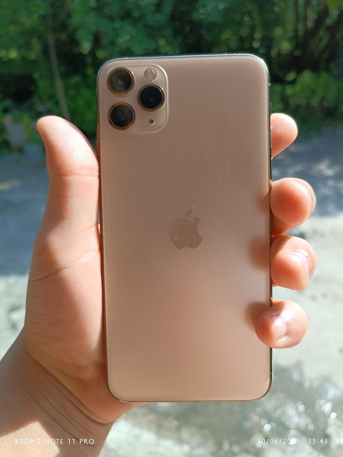 11پرومکس گلد|موبایل|تنکابن, |دیوار