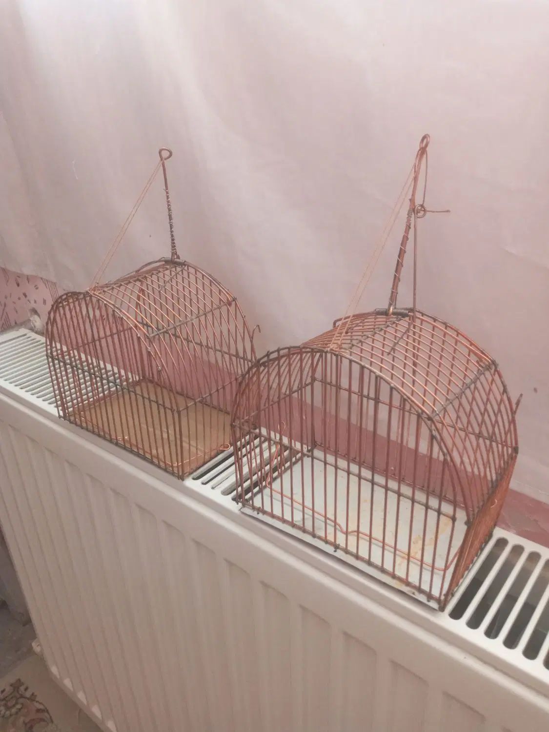 قفس تله تکی سهره|لوازم جانبی حیوانات|بجنورد, |دیوار