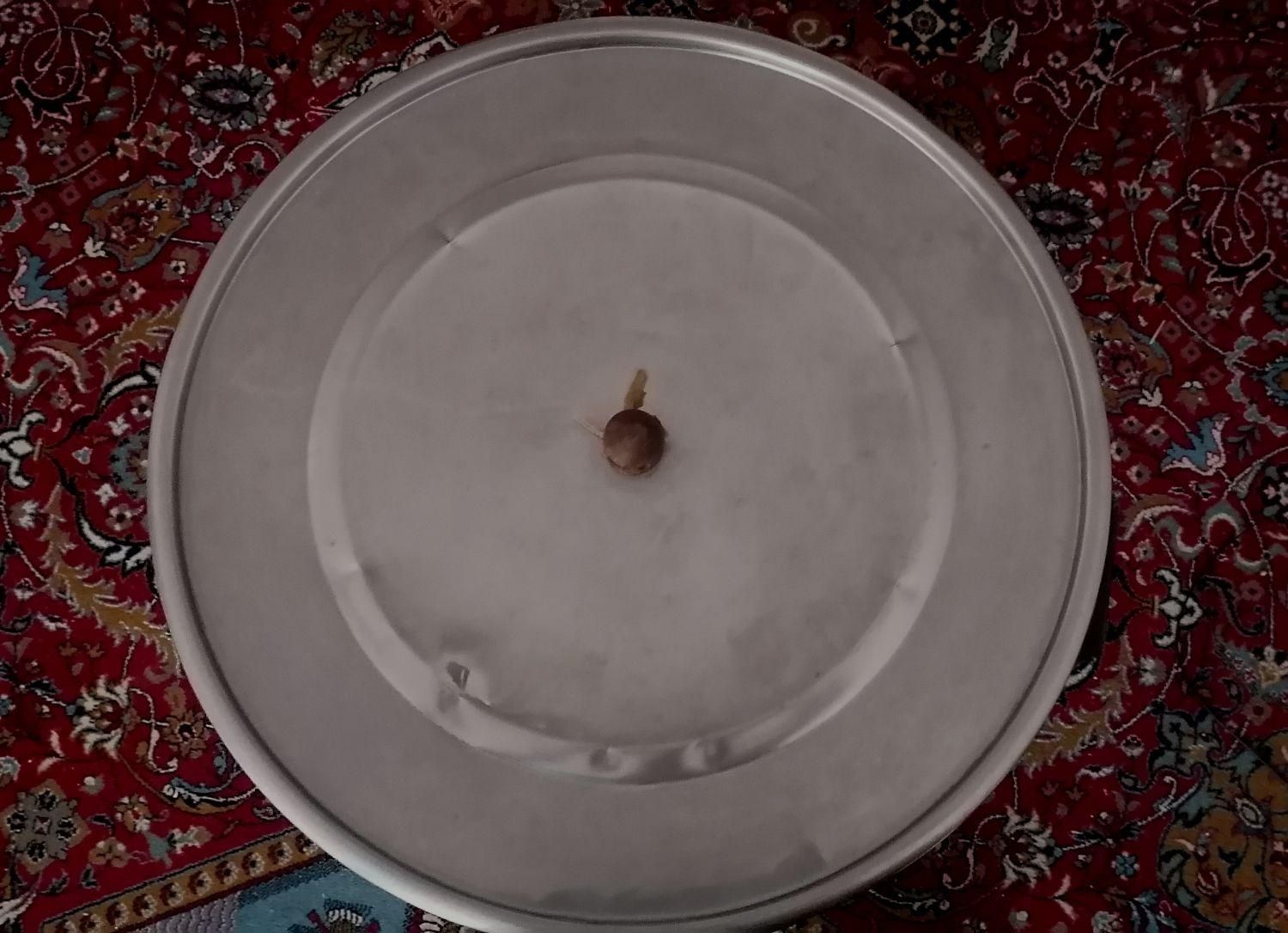 کره گیر(مشک برقی)|سایر لوازم برقی|کرمانشاه, |دیوار