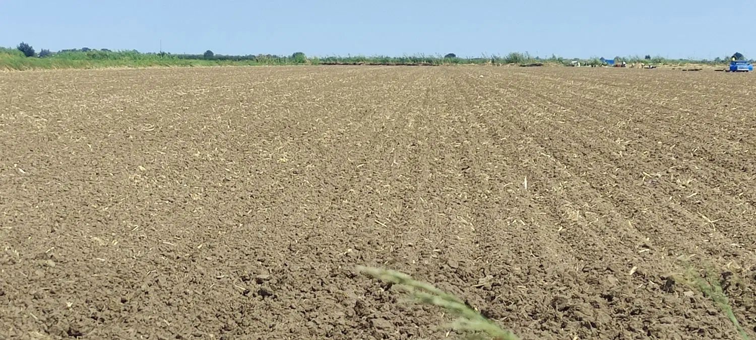 اجاره سیر کانال الL دریچه۵ نزدیک اجیرلوقوجه بیگلو|اجارهٔ دفتر صنعتی، کشاورزی، تجاری|پارس‌آباد, |دیوار