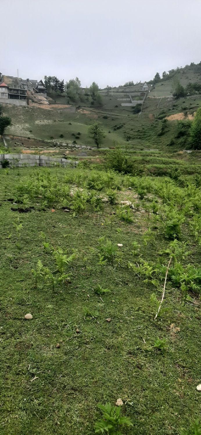 فروش ویژه ی زمین در سوادکوه شهر زیراب|فروش زمین و ملک کلنگی|زیرآب, |دیوار