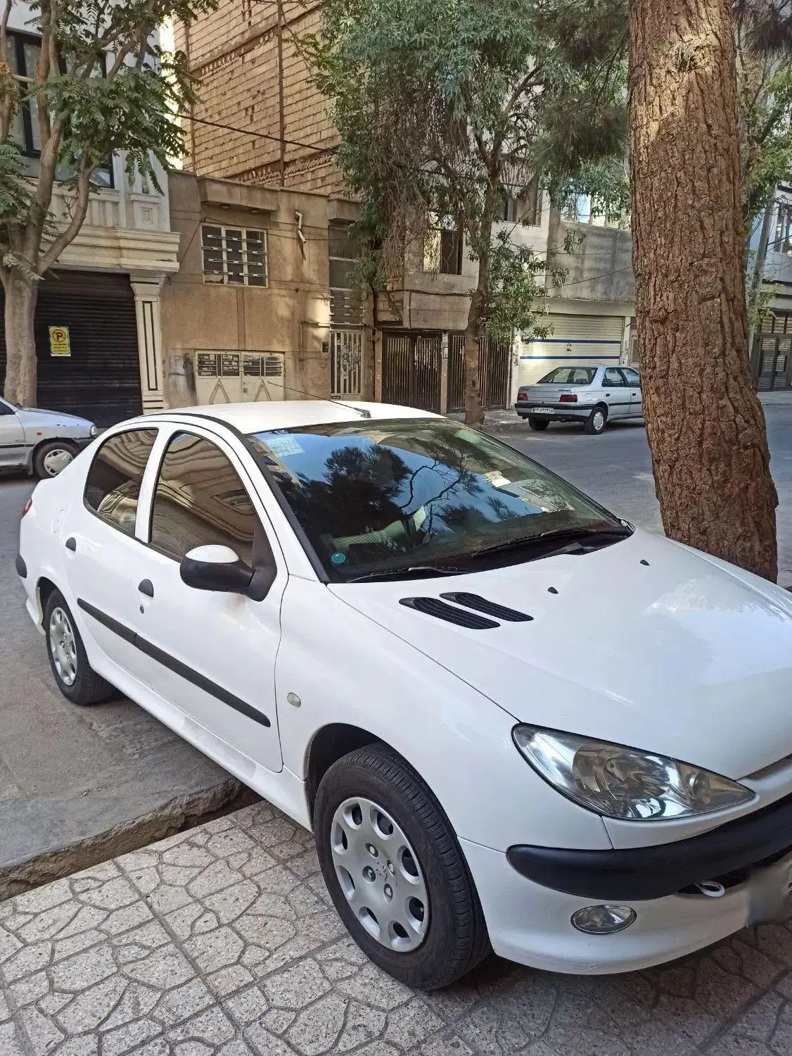 پژو 206 SD V8، مدل ۱۳۹۹|خودرو سواری و وانت|مشهد, ایثار|دیوار