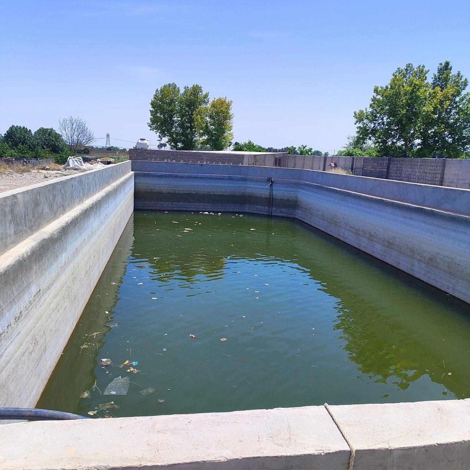 فروش ۱۵هزارمتر زمین کشاورزی گلخانه ویلاسازی پیشوا|فروش دفتر صنعتی، کشاورزی، تجاری|جوادآباد, |دیوار
