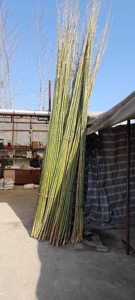 چوب سندبلاست شده|مصالح و تجهیزات ساختمان|رشت, نامجو|دیوار