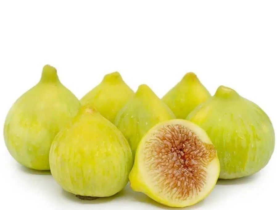 معتبرترین مرکز پیش فروش نهال لیبل دار انجیر عسلی|خدمات باغبانی و درختکاری|ابریشم, |دیوار