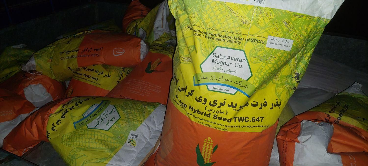 بذر ذرت ۶۴۷ دشت مغان|گل و گیاه طبیعی|مرودشت, شهرک مهدیه|دیوار