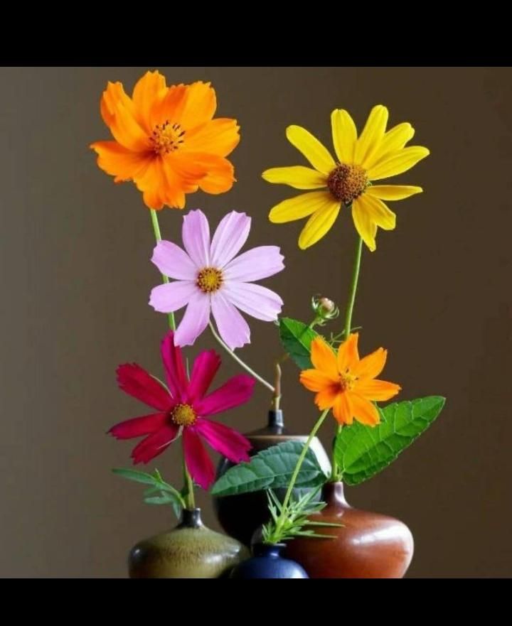 باغ.باغچه.گل و گلدون در منزل و محل کار|خدمات باغبانی و درختکاری|شیراز, عفیفآباد|دیوار