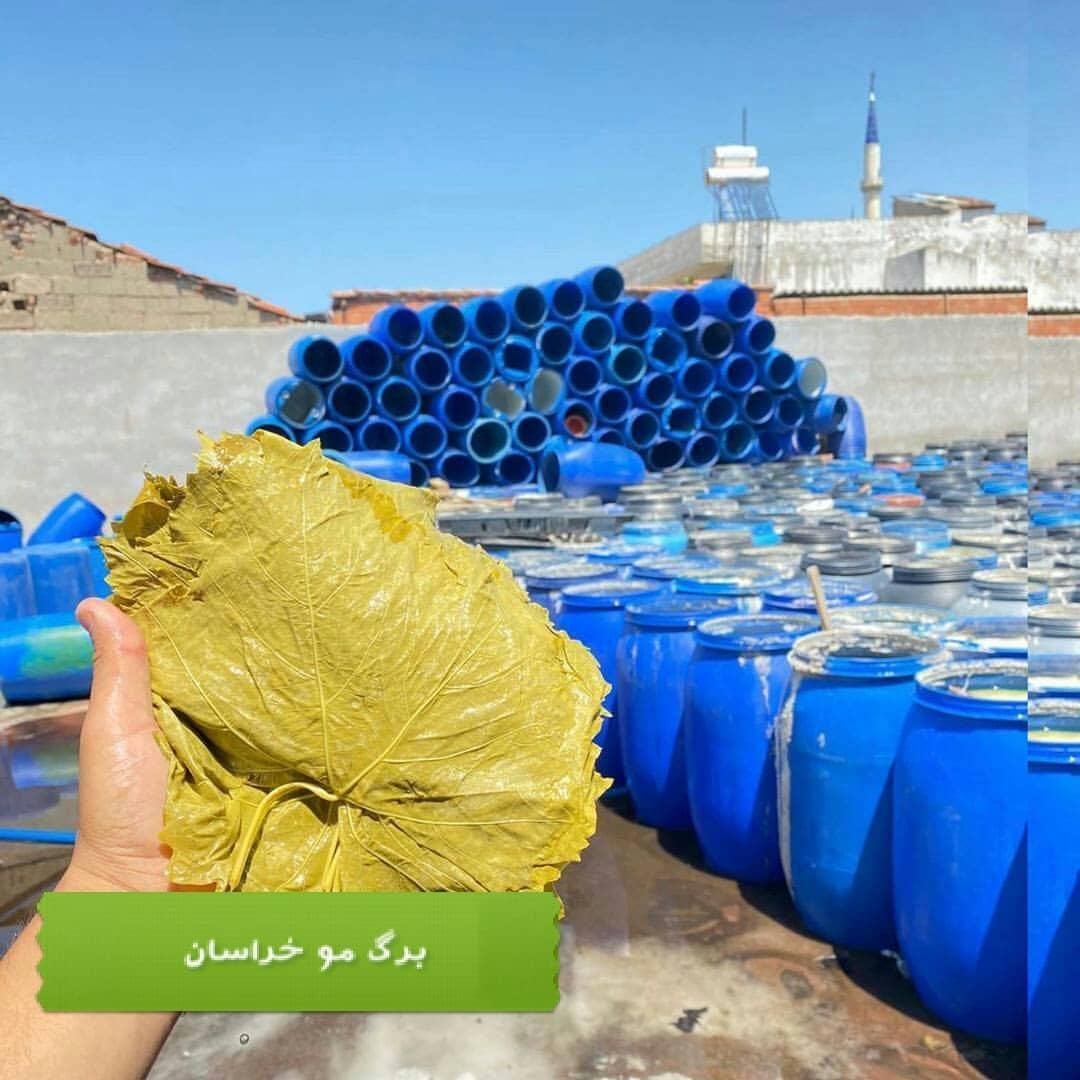 برگ مو برگ دلمه شیره انگور درجه یک|خوردنی و آشامیدنی|تهران, امام حسین|دیوار