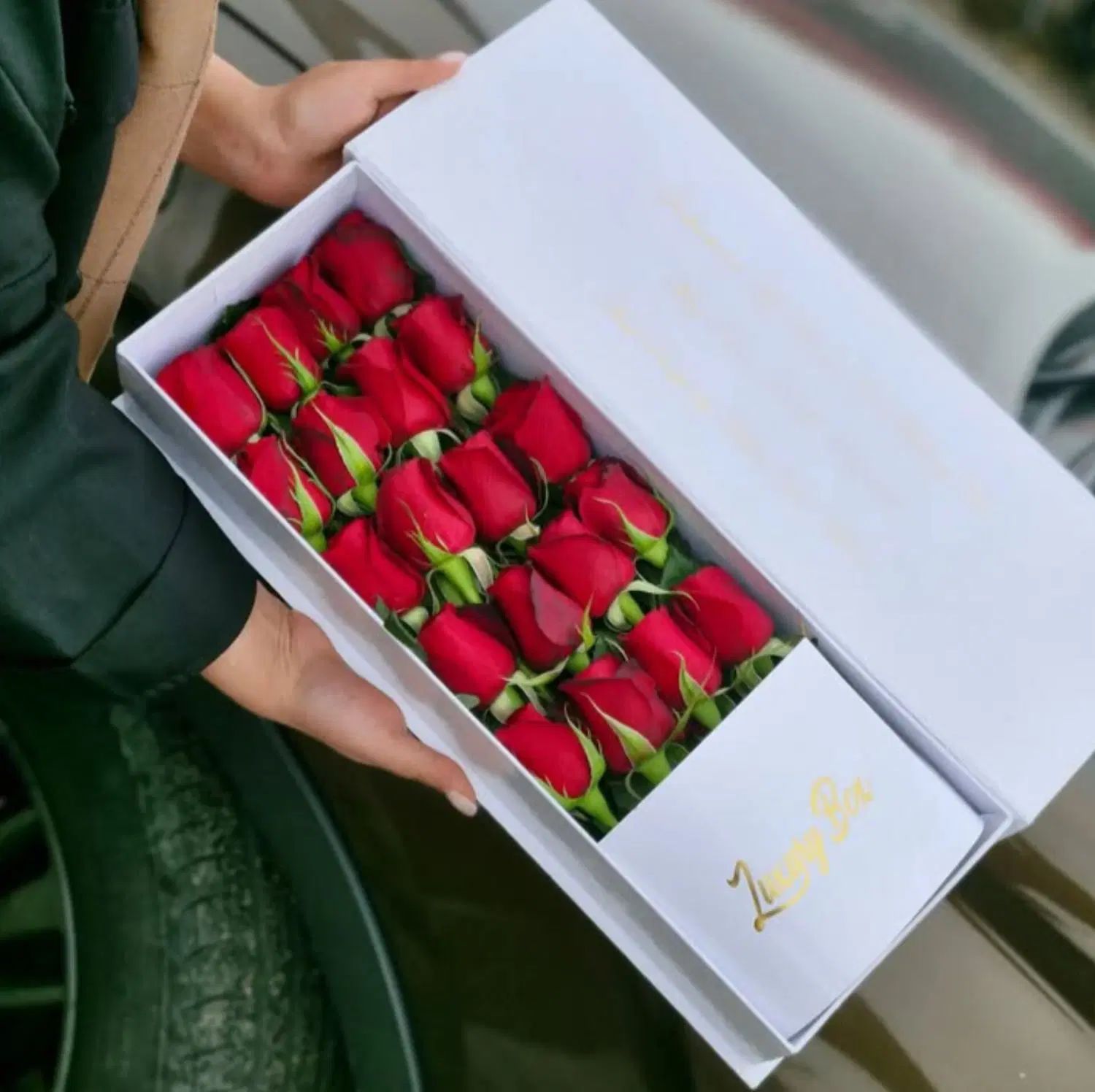 رز.طبیعی.هلندی|گل و گیاه طبیعی|تهران, نعمت‌آباد|دیوار