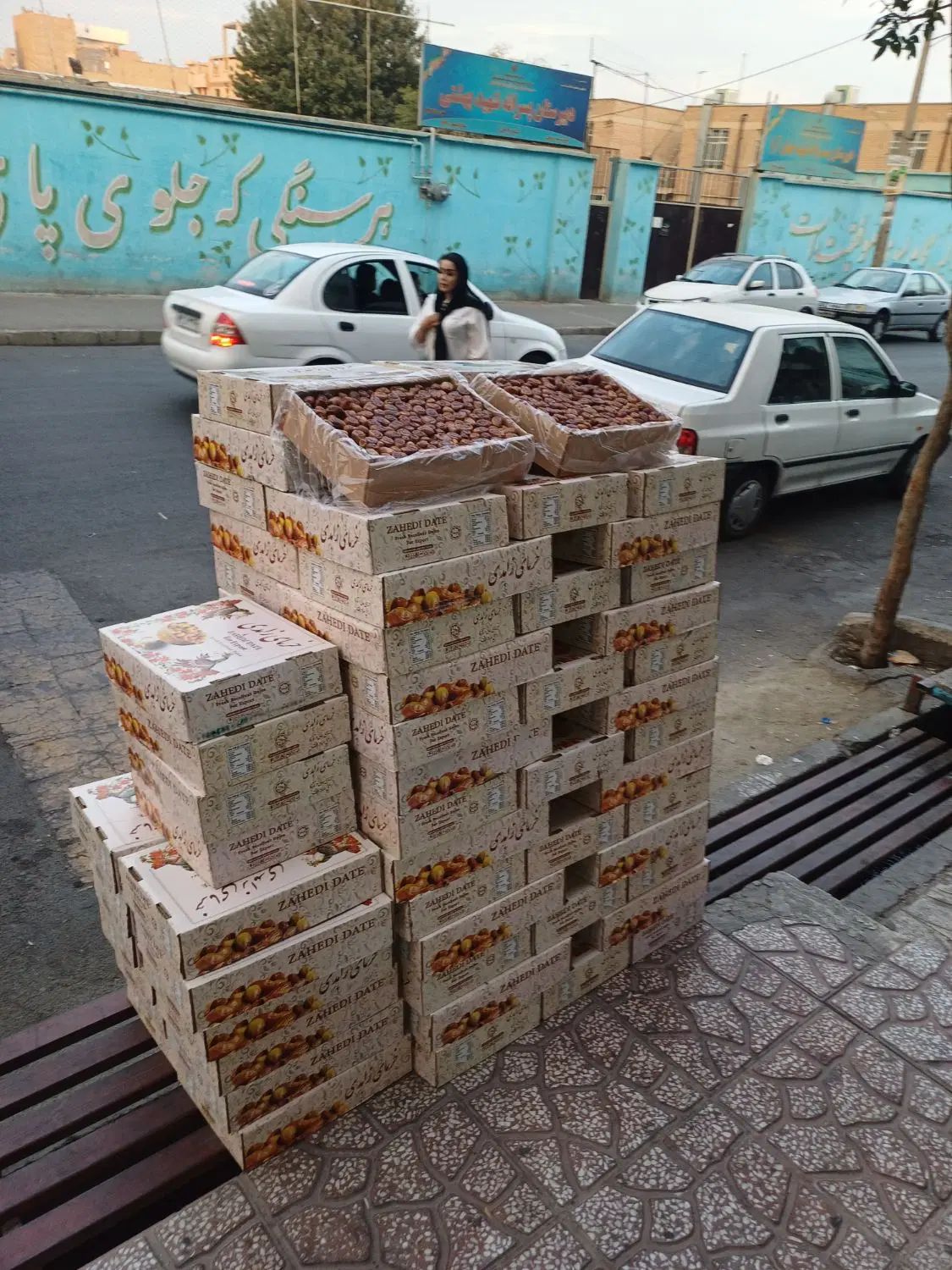 زاهدی آلویی/۵۰۰ کیلو/تازه و درجه ۱|عمده‌فروشی|تهران, میدان میوه و تره‌بار مرکزی|دیوار