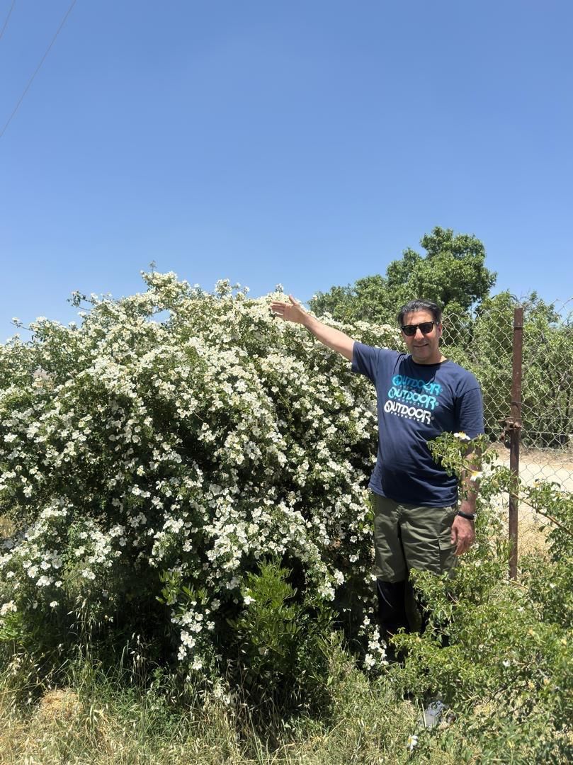 ۲۲۳متر زمین مسکونی ۲بَر فاز یک صدرا با ضابطه M4|فروش زمین و ملک کلنگی|شیراز, گویم|دیوار