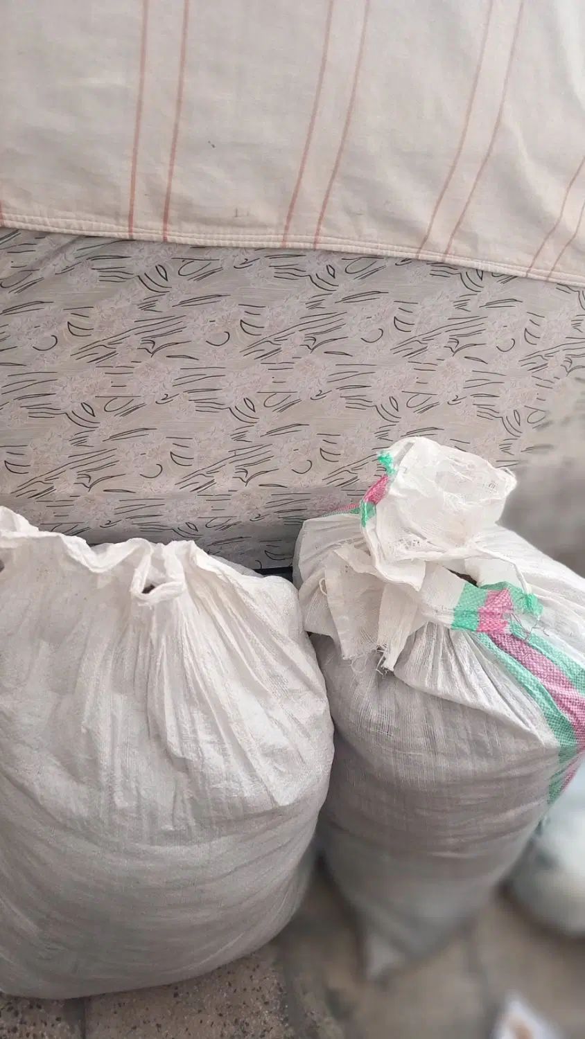 پشم گوسفند شسته شده تمیز آماده ارزانترین قیمت|رختخواب، بالش، پتو|ری, ولی آباد|دیوار