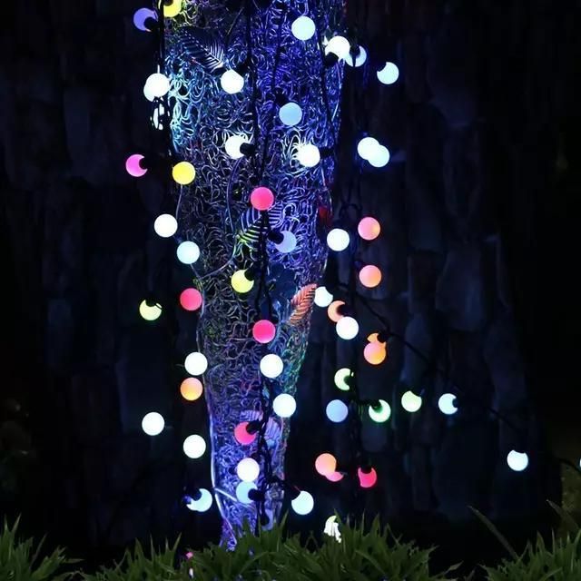 ریسه فندقی 40 LED نورپردازی دکوراسیون|ریسه و چراغ تزئینی|کرج, اصفهانی‌ها|دیوار
