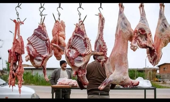 گوشت گوسفندی نرینه گرم(کالابرگ و آزاد)|خوردنی و آشامیدنی|نیشابور, فضل|دیوار