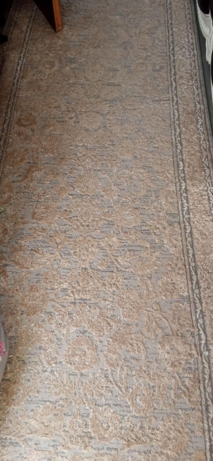 کناره فرش پتینه|فرش|مشهد, کوی سیدی|دیوار