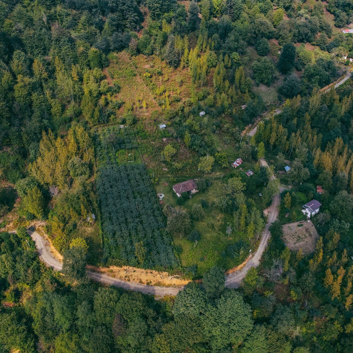 ۱۲۰۰مترزمین بامجوزساخت، اورما ملال رضوانشهر|فروش زمین و ملک کلنگی|رضوانشهر, |دیوار