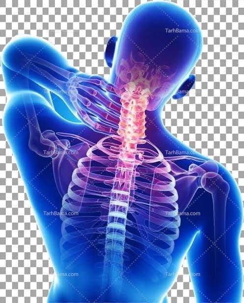 منشی(دستیار) خانم جهت مطب فیزیوتراپی|استخدام درمانی، زیبایی، بهداشتی|تهران, پاسداران|دیوار