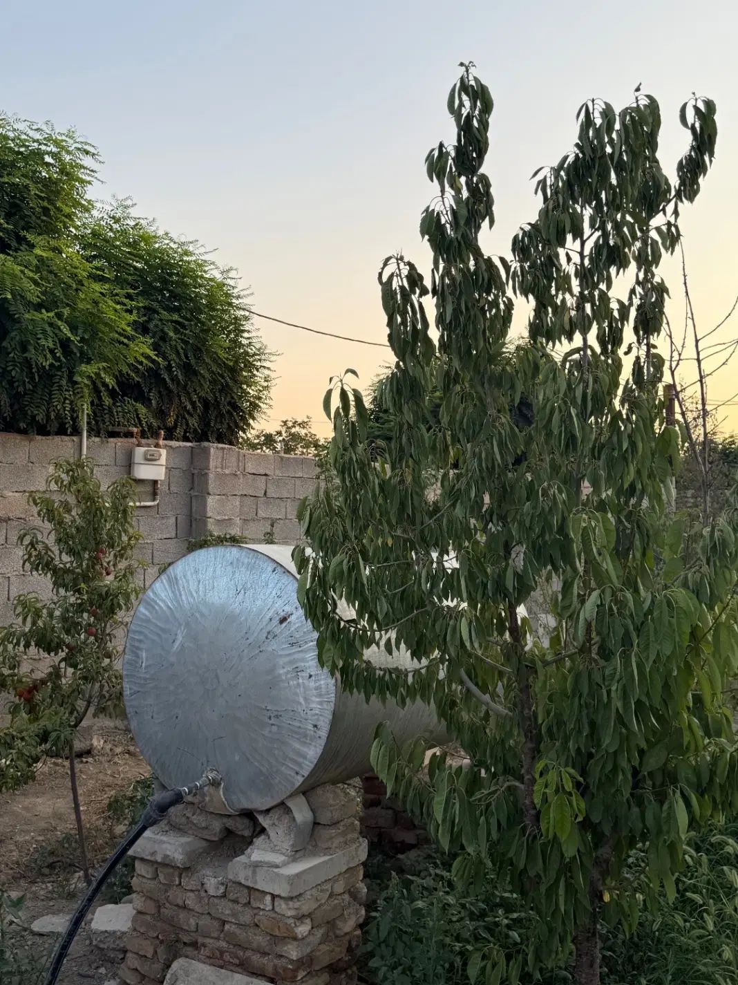 ۳۰۰ متر باغچه چهار دیواری /آب شهری /برق/گاز کنتور|فروش زمین و ملک کلنگی|کرج, برغان|دیوار