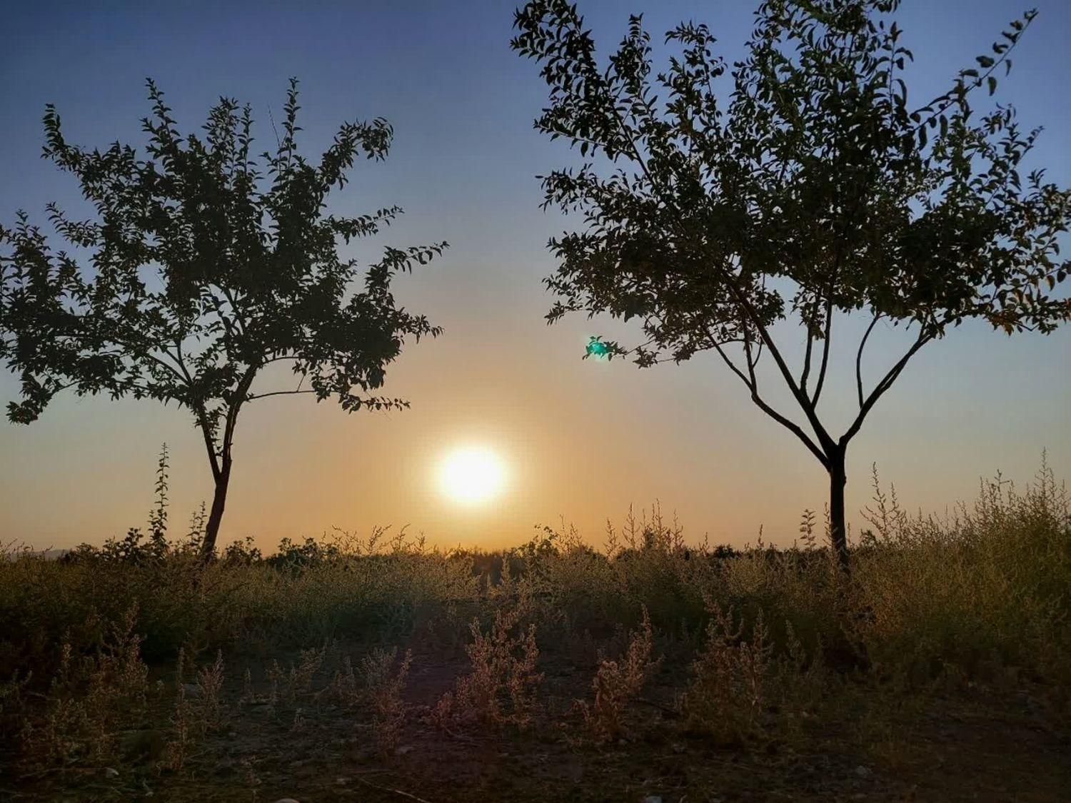 فروش باغ و زمین دو هکتاری پسته و انار لالایین فوری|فروش زمین و ملک کلنگی|ساوه, |دیوار