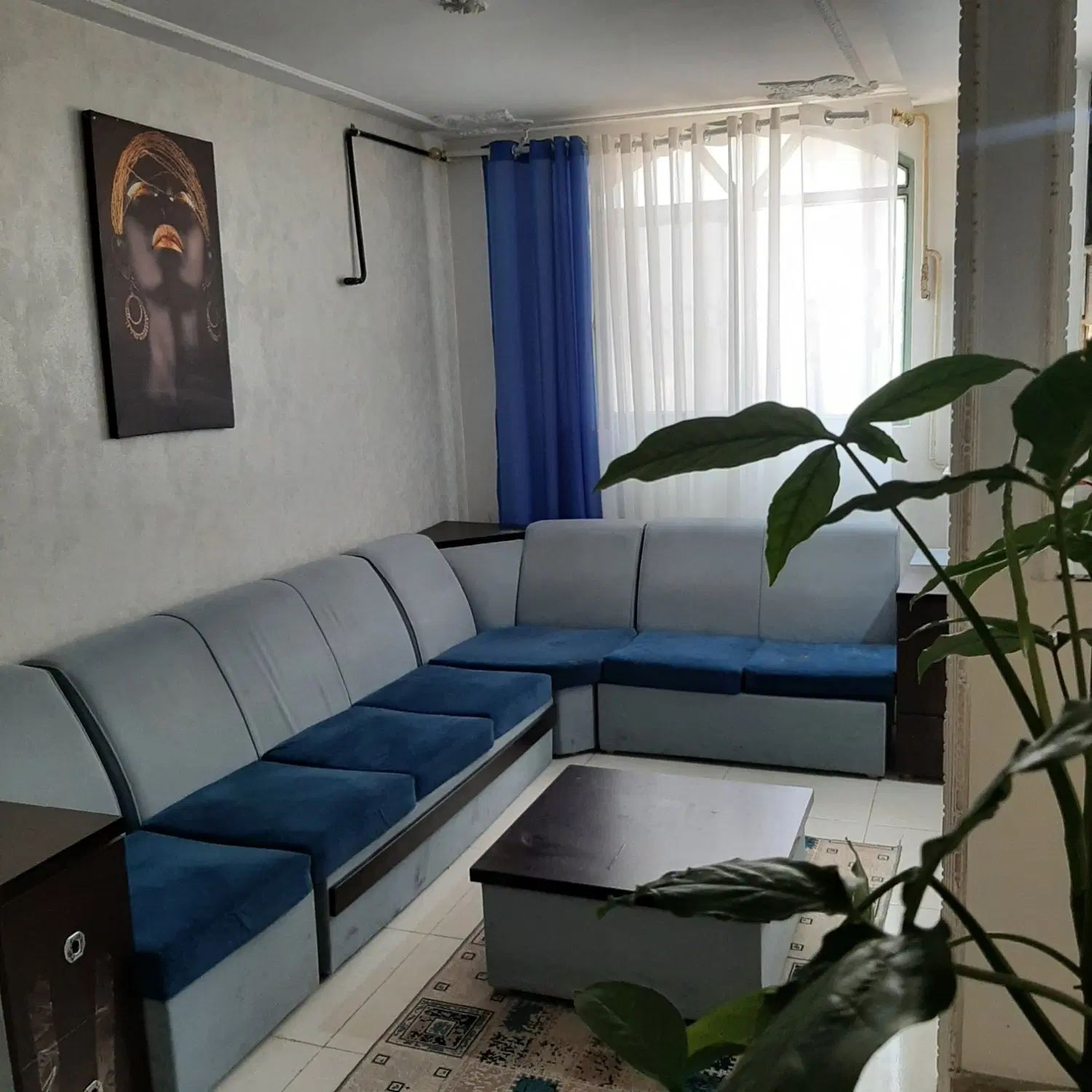 اجاره روزانه  آپارتمان و سوییت در ونک و زعفرانیه|اجارهٔ کوتاه‌مدت آپارتمان و سوئیت|تهران, ونک|دیوار